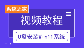 U盘重装Win11系统视频教程