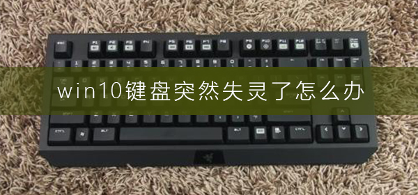 Win10键盘突然失灵了怎么办？Win10键盘突然失灵的解决方法