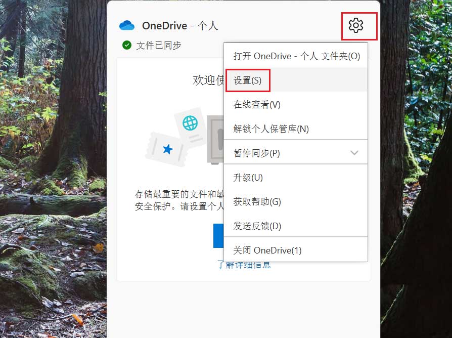 Win11如何自动锁定OneDrive个人保管库？