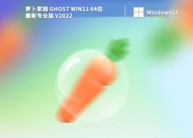 萝卜家园 Ghost Win11 64位 最新专业版 V2022