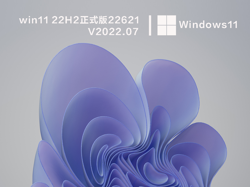 windows11 22h2 22621正式版ISO镜像(已优化精简)