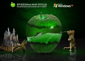青苹果系统 Ghost WinXP SP3 纯净专业版 V2022.04