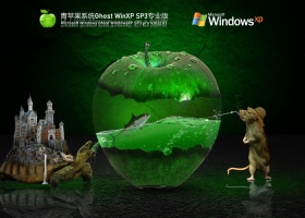 青苹果系统 Ghost WinXP SP3 专业版 V2022.03