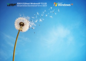 雨林木风WindowsXP Sp3专业版 V2021.07