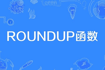 roundup函数是什么意思详情