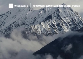 官方MSDN Win11正版系统(64位) V2023