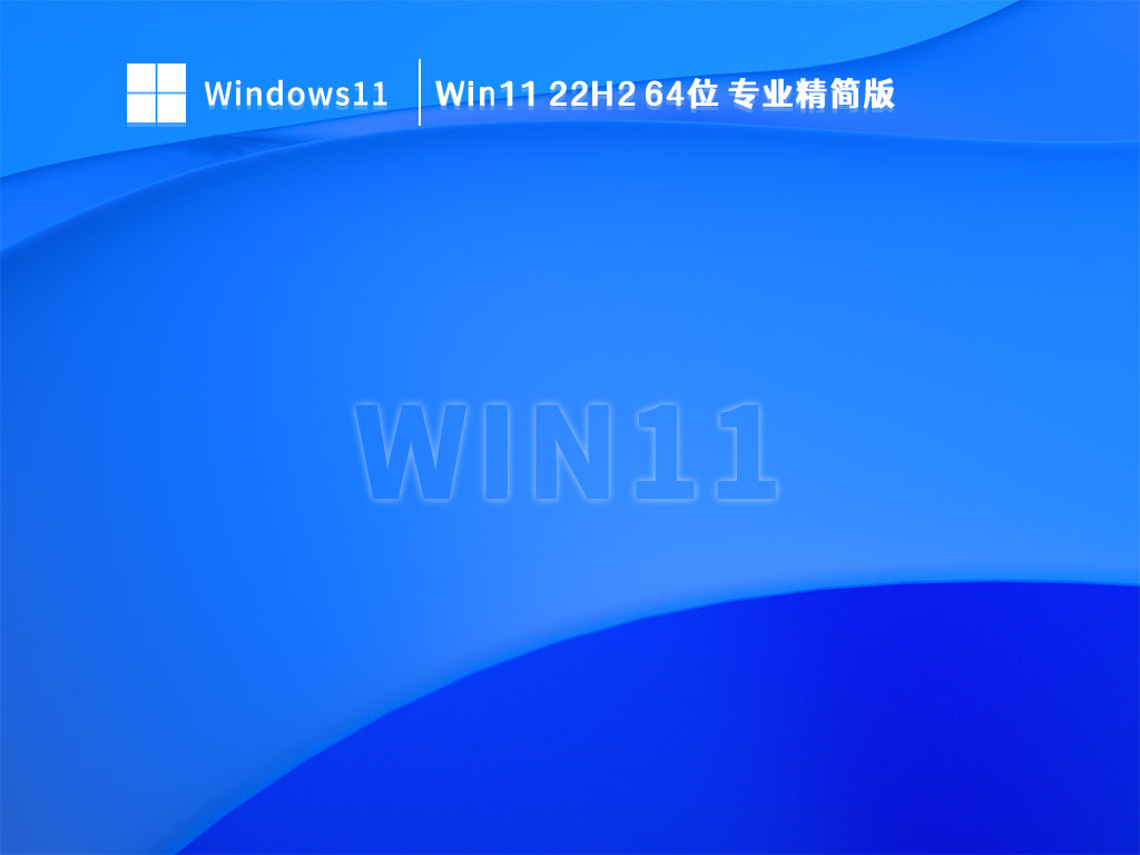 Win11 22H2 64位 专业精简版 V2023