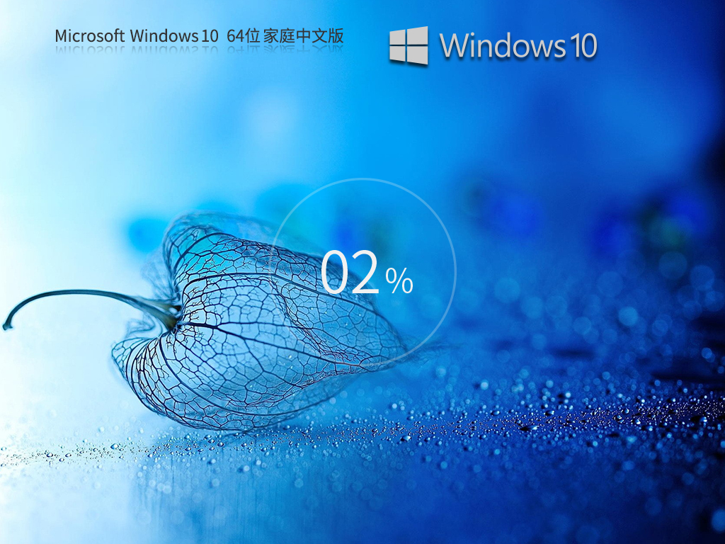 Windows10 22H2 19045.2965 X64 最新家庭中文版