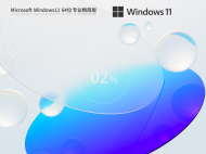 Windows11 22H2 64位 专业精简版