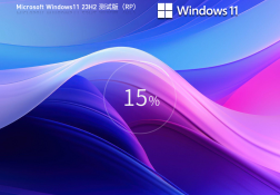 Windows11 23H2 64位 RP官方镜像