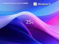 Windows11 23H2 64位 专业精简版镜像