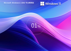 【适量精简】Windows11 23H2 64位 专业精简版