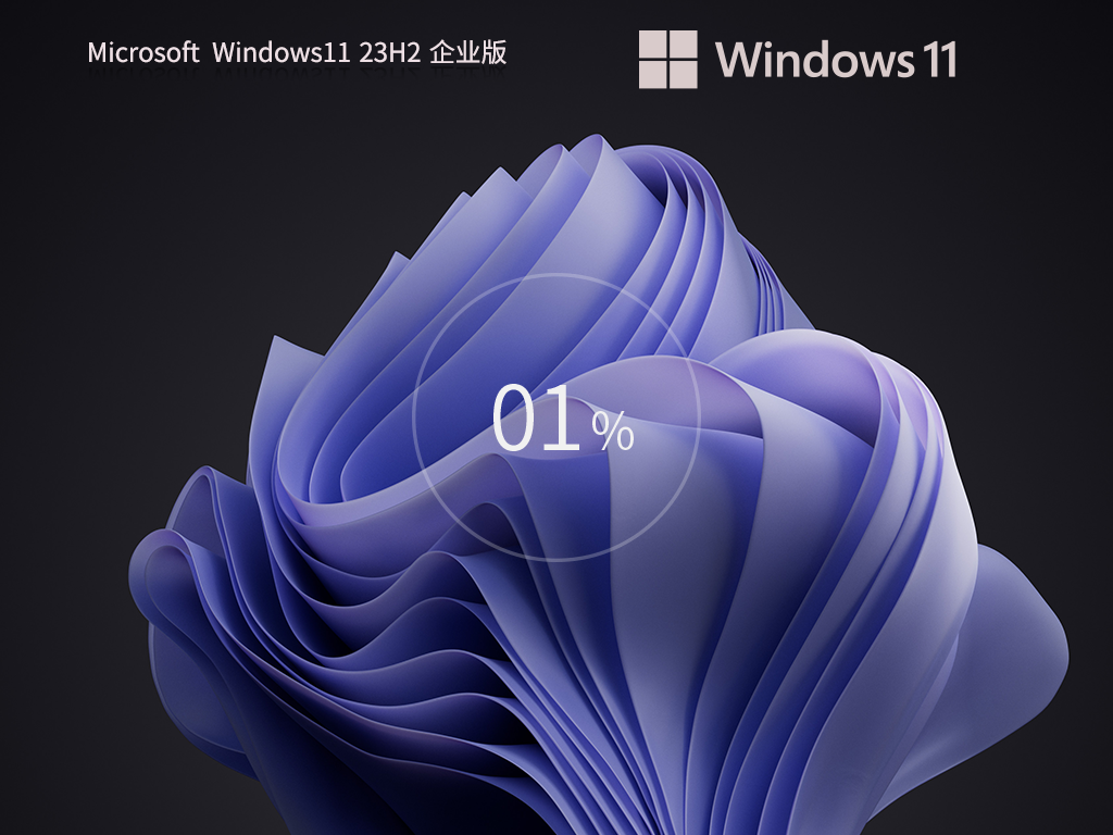 【企业首选】Windows11 23H2 64位 企业版