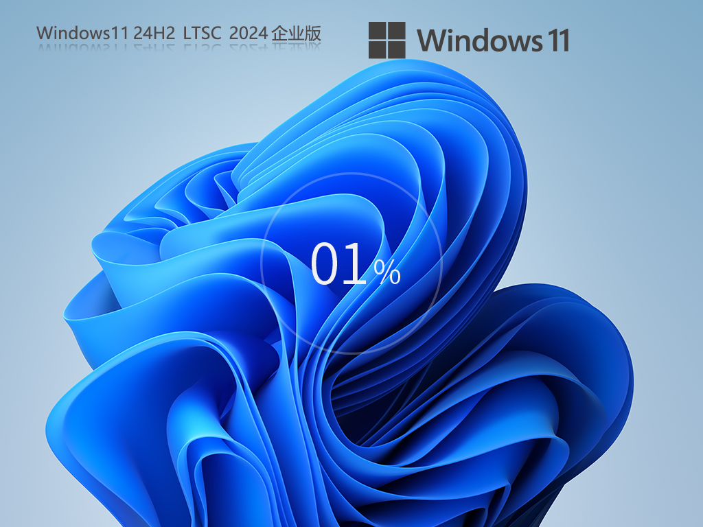 养老版 Windows11 24H2 LTSC 2024 企业版