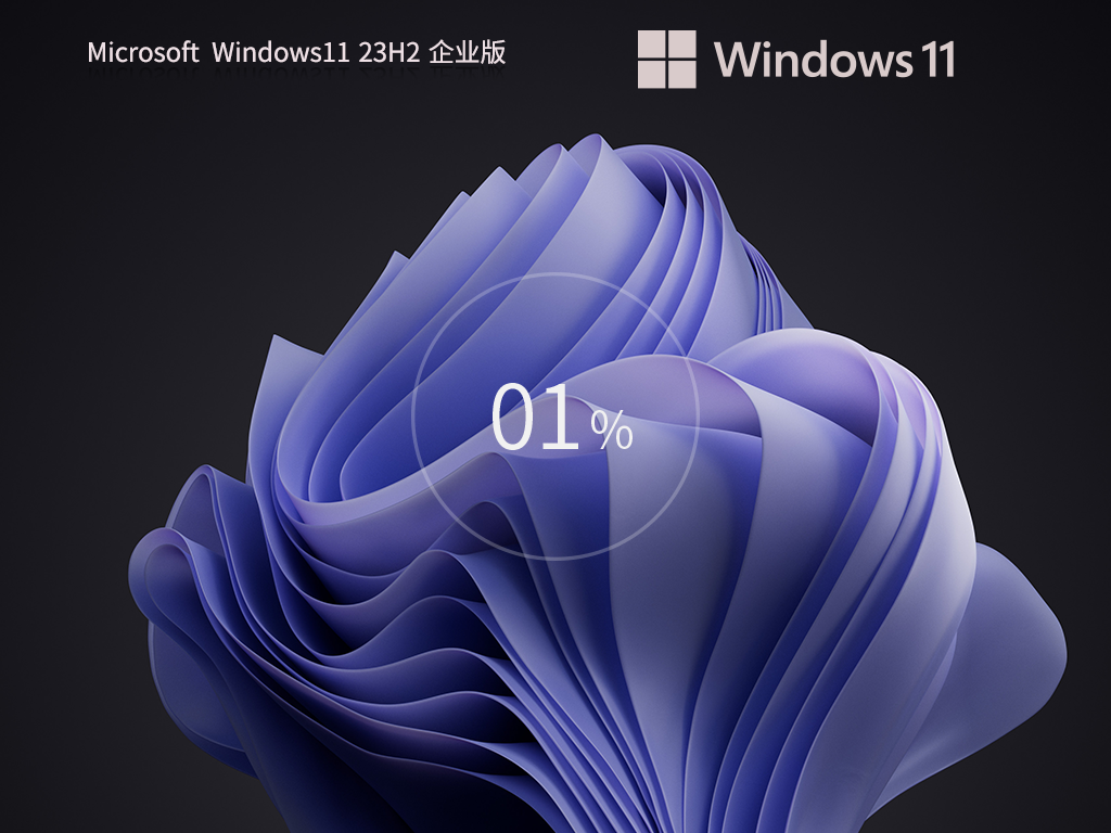 Windows11 23H2 64λ ҵ