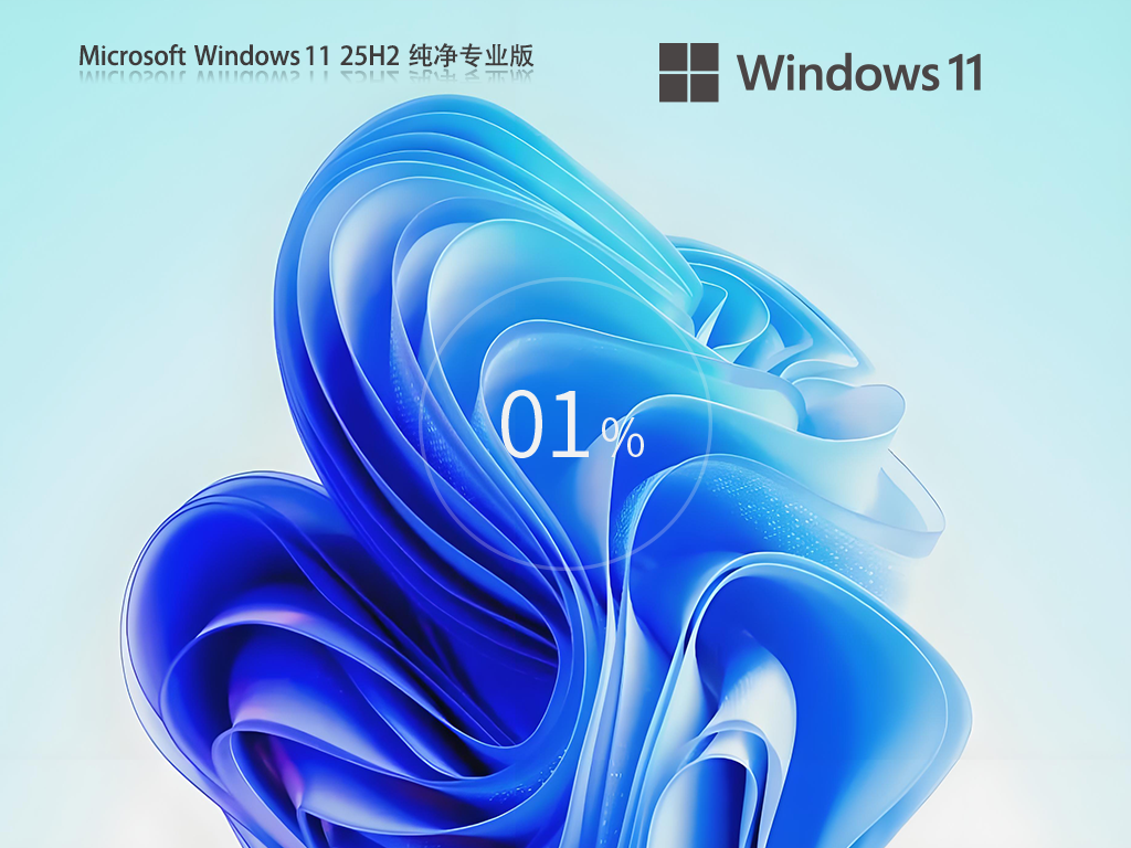 系统之家 Windows11 25H2 纯净专业版镜像