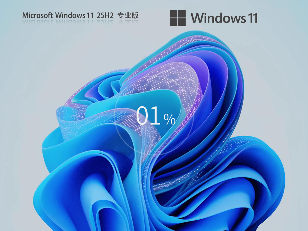 Windows11 25H2 26200.7309 专业版