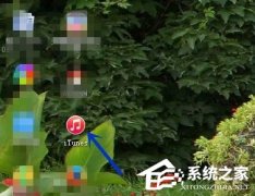 Itunes怎么备份手机里所有数据？Itunes备份所有手机数据的方法