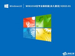Win10专业激活版64位系统镜像下载（装机专用）