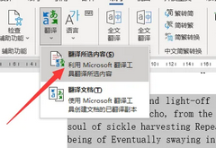 Word翻译功能怎么用？Word翻译功能使用教程