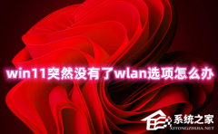 Win11突然没有了wlan选项怎么办？Win11设置无线网络看不到wlan的解决方法