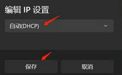 Win11自动获取IP地址的设置方法