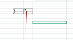 WPS单选按钮怎么设置-WPS表格添加单选按钮教程